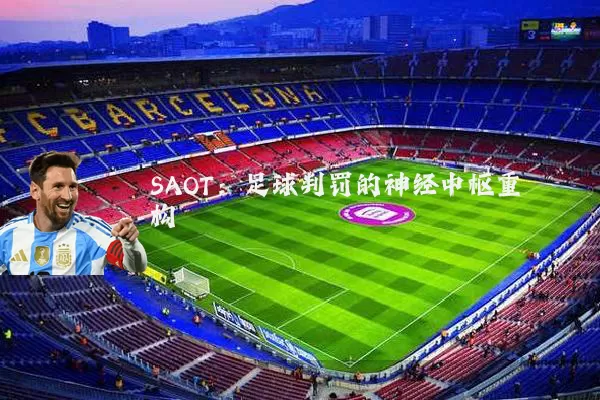 SAOT:足球判罚的神经中枢重构
